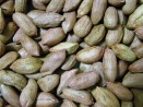 Nueces