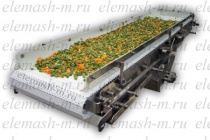 Alimentador de banda para bayas congeladas